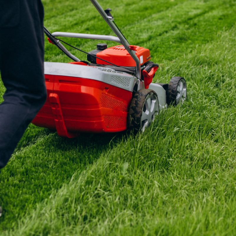 Lawn Mowing Lawn Mowing